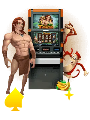 Lịch sử Phát triển gowin chính thức