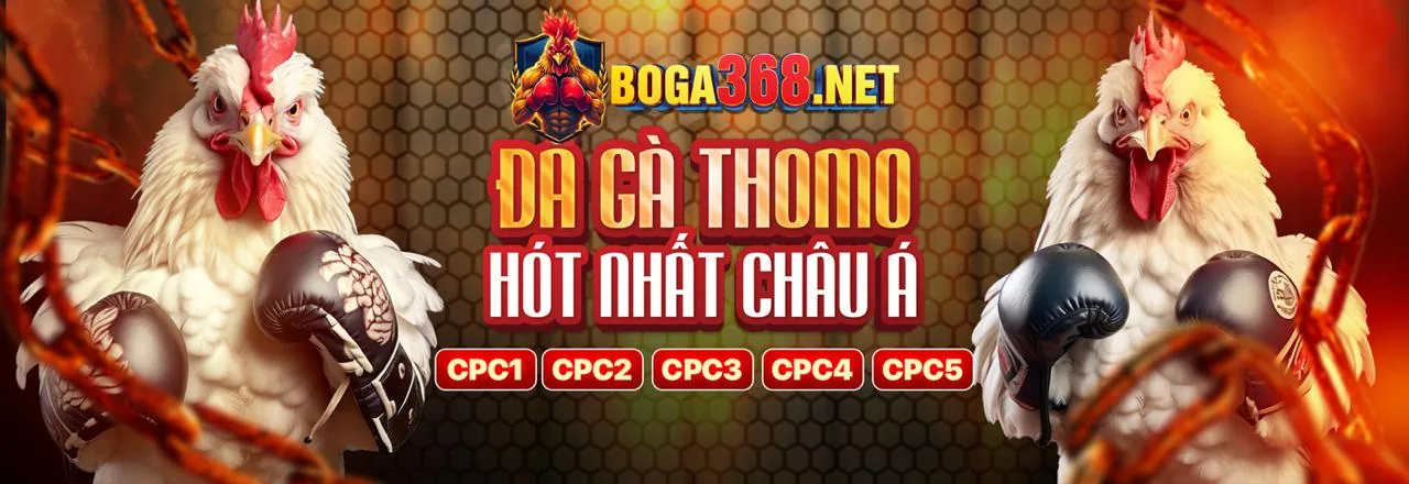 Lợi ích hoàn trả gowin chính thức