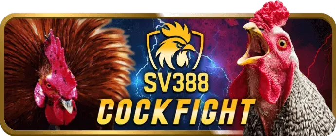 Trải nghiệm Slots trên di động